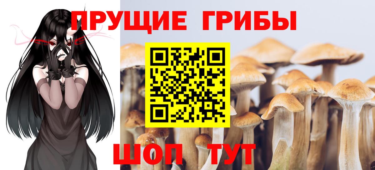 Галлюциногенные грибы мицелий  Псилоцибиновые грибы MAGIC MUSHROOMS  Красноуфимск  купить наркоту  Вход с VPN 